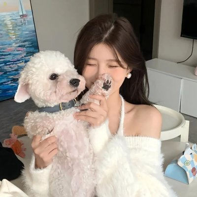 托梅斯的导盲犬